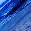 slgarrison77